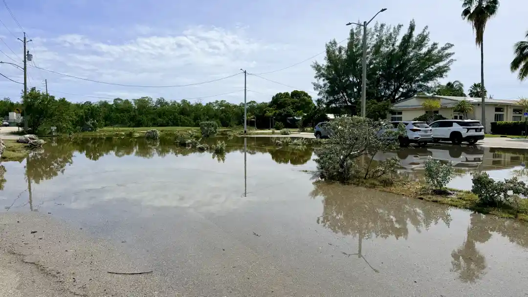 October 2026 King Tides October 2026 King Tides